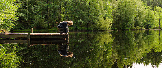 layout image (to proper size of the container)