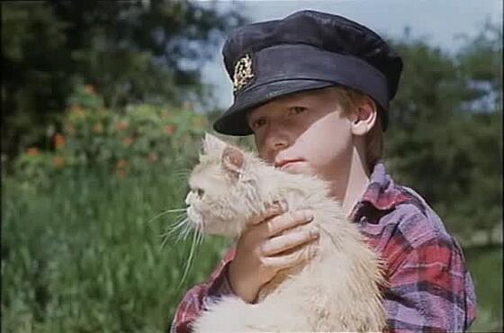 layout image (to proper size of the container)