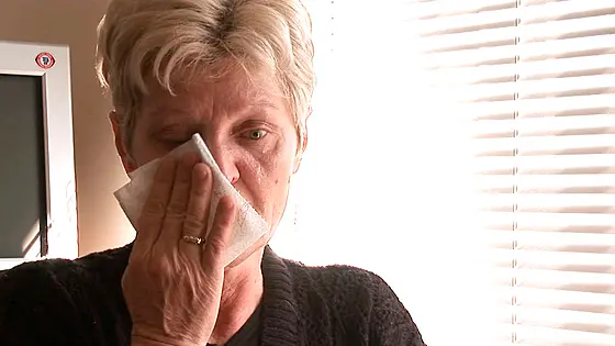 layout image (to proper size of the container)