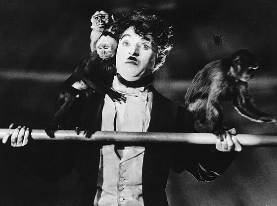 layout image (to proper size of the container)