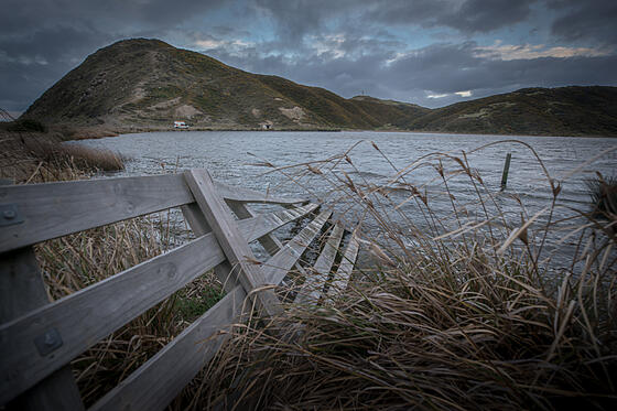 forhåndsvisning af film