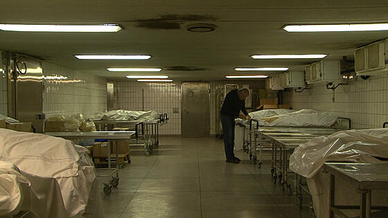 layout image (to proper size of the container)