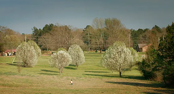 forhåndsvisning af film