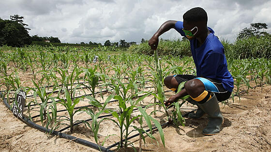 layout image (to proper size of the container)