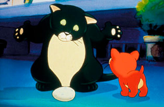 forhåndsvisning af film