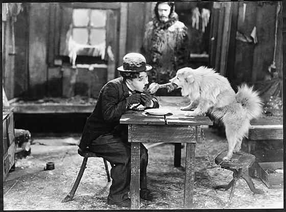 layout image (to proper size of the container)