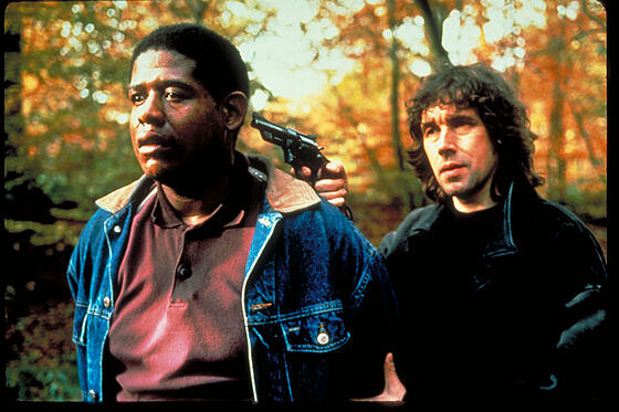 forhåndsvisning af film