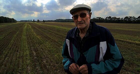 layout image (to proper size of the container)