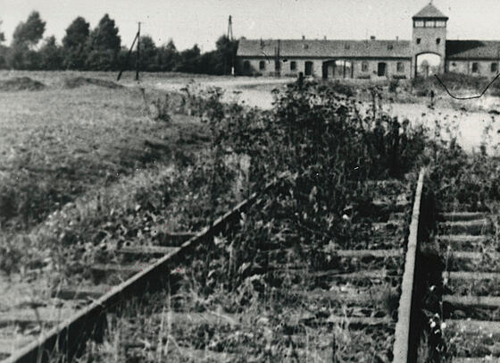 layout image (to proper size of the container)