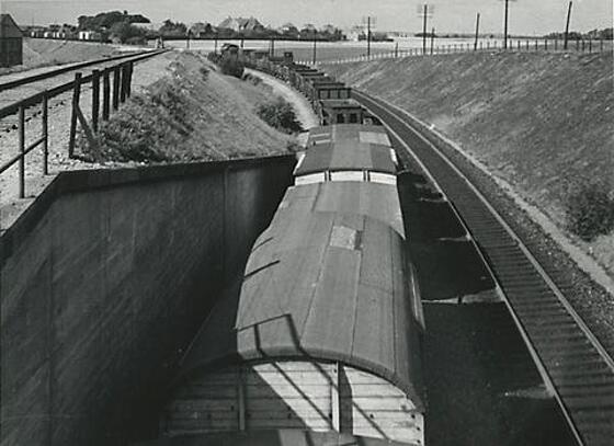 layout image (to proper size of the container)