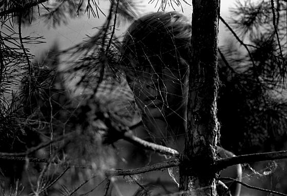 forhåndsvisning af film