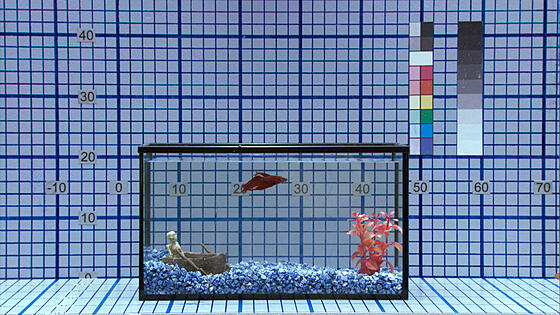 layout image (to proper size of the container)