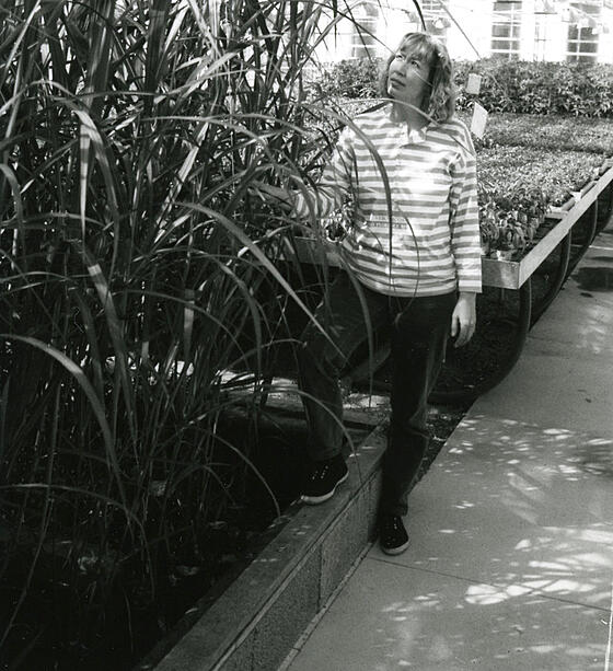 forhåndsvisning af film