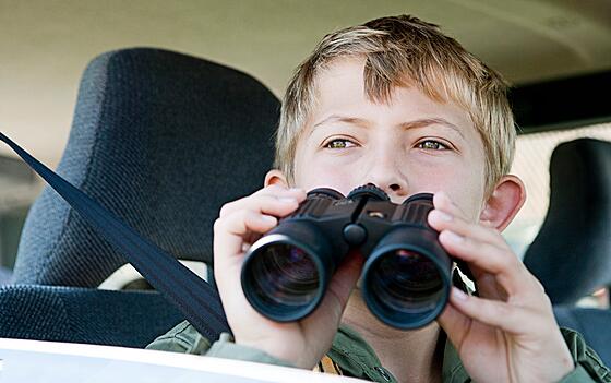 layout image (to proper size of the container)