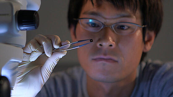 layout image (to proper size of the container)