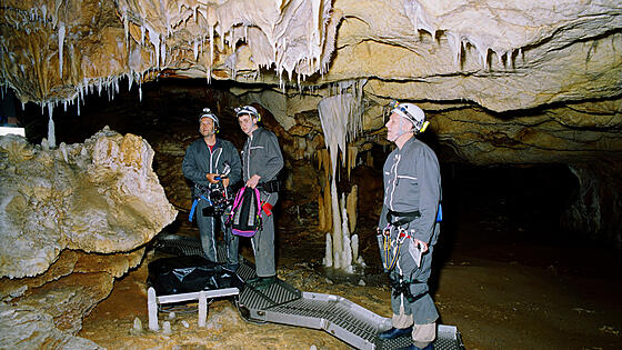 forhåndsvisning af film