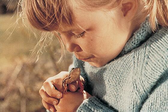 layout image (to proper size of the container)