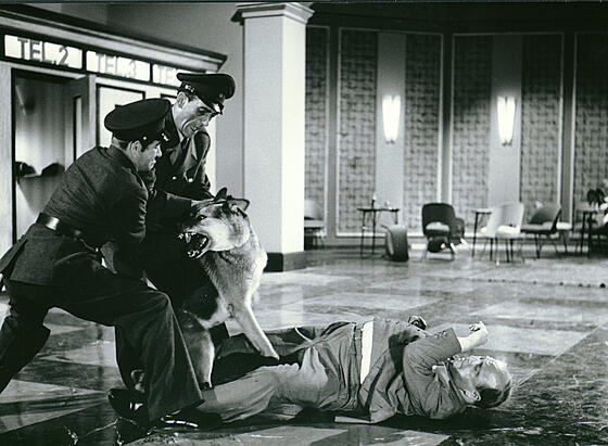 forhåndsvisning af film