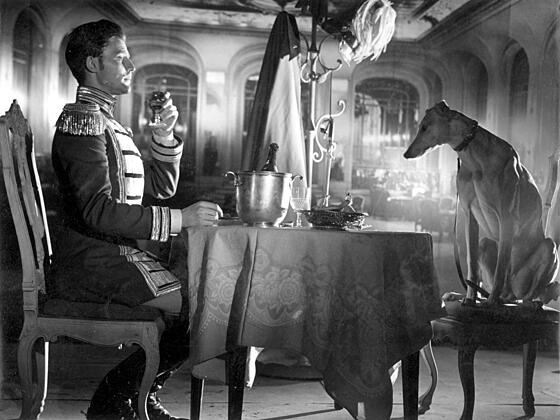 layout image (to proper size of the container)