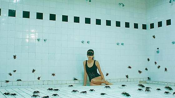 forhåndsvisning af film