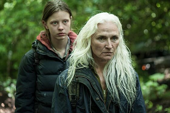 forhåndsvisning af film