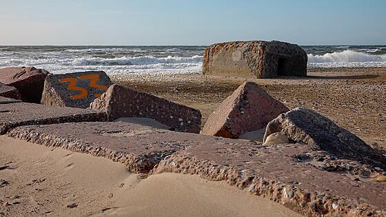 forhåndsvisning af film