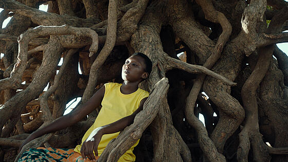 forhåndsvisning af film