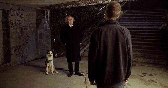 layout image (to proper size of the container)