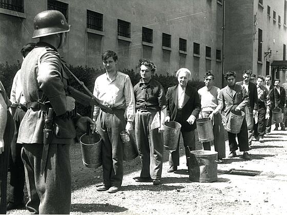 forhåndsvisning af film