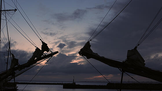 forhåndsvisning af film