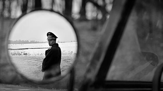 layout image (to proper size of the container)