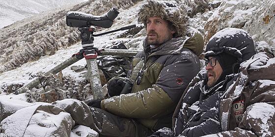 forhåndsvisning af film