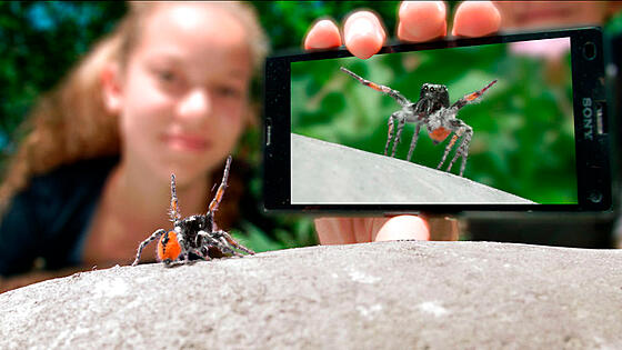 forhåndsvisning af film