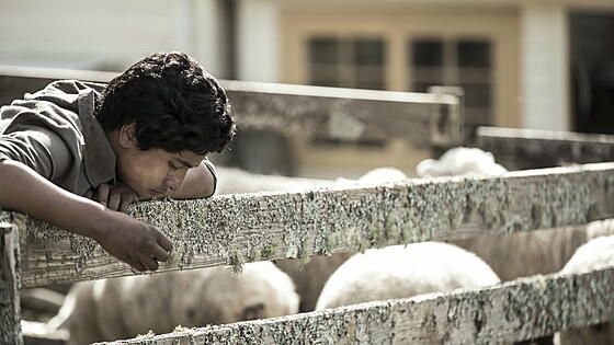 forhåndsvisning af film