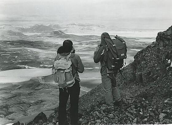 layout image (to proper size of the container)