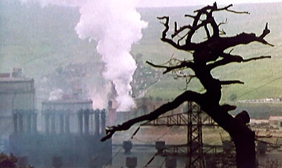 layout image (to proper size of the container)