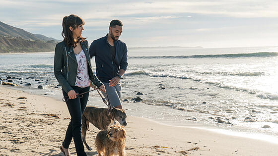 forhåndsvisning af film