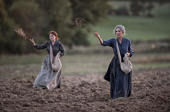 forhåndsvisning af film