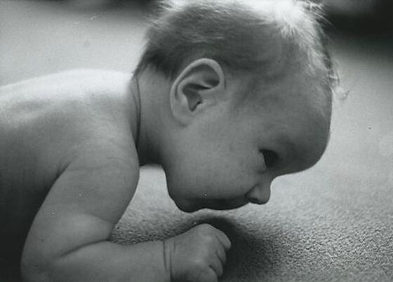 layout image (to proper size of the container)