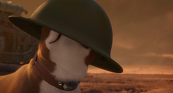 forhåndsvisning af film