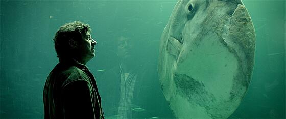 layout image (to proper size of the container)