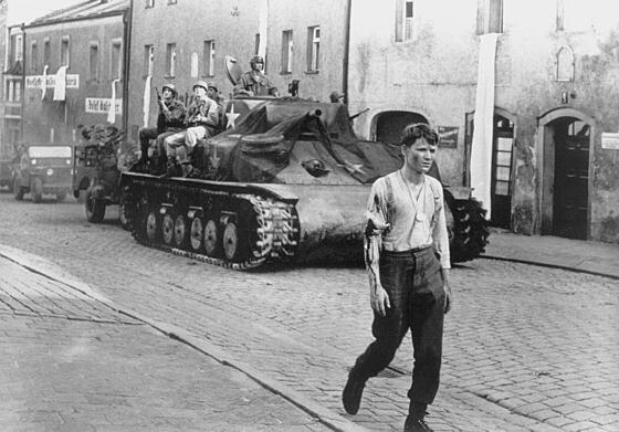 layout image (to proper size of the container)