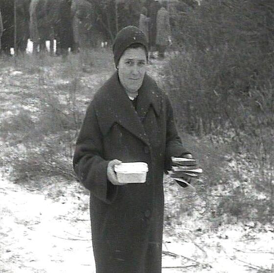 layout image (to proper size of the container)