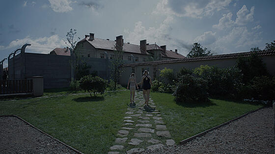 forhåndsvisning af film