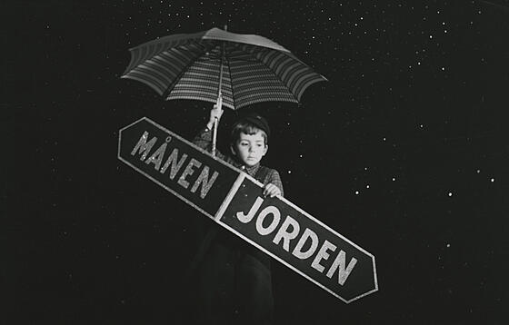 layout image (to proper size of the container)