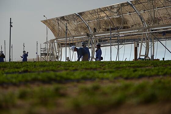forhåndsvisning af film