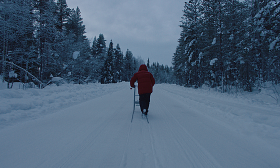 layout image (to proper size of the container)