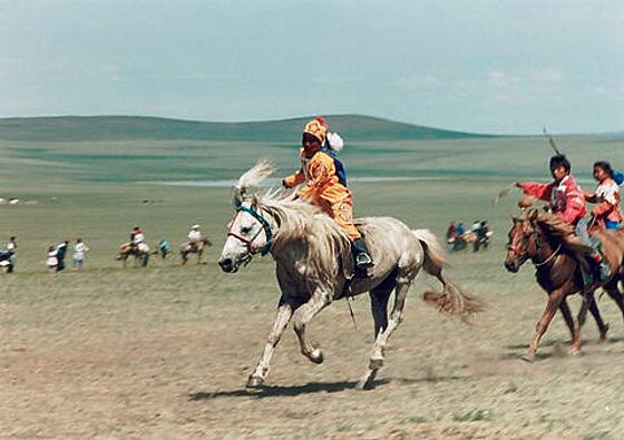 layout image (to proper size of the container)