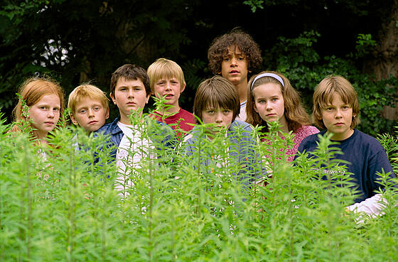 layout image (to proper size of the container)