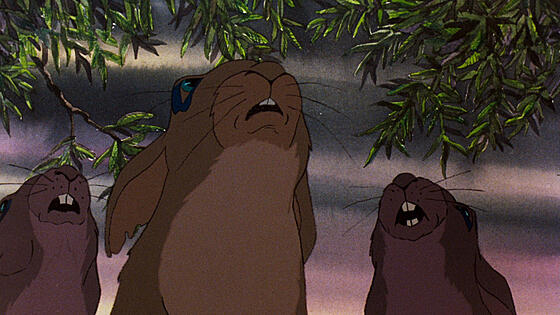 layout image (to proper size of the container)